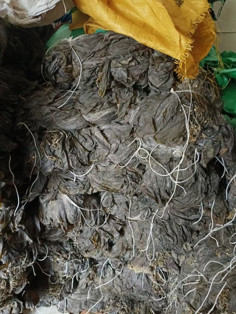 干海带海带干海带皮海带海带散菜海带丝基地直接发货