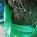 福建半挂菜海带海带干海带皮海带片散菜整条海带产地直接发货