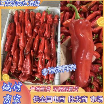 江苏精品红辣椒红泡椒红椒产地一手货源量大从优