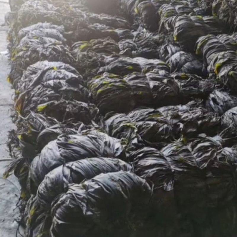 干海带无沙海带海带干海带皮海带片海带头海带丝基地直接发货