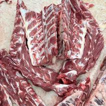 多肉牛脊骨，国产冰鲜纯干，肉很多，价格实惠，可切段。