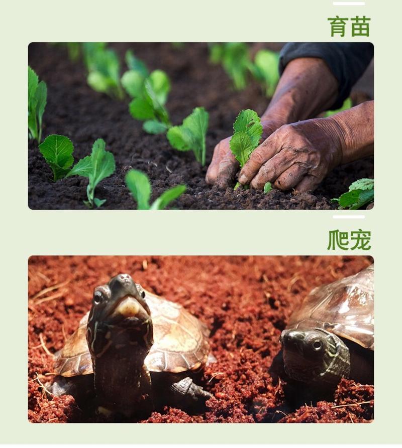 现货椰砖营养土养花种菜多肉土壤椰子壳椰糠家用辅助通用型土壤