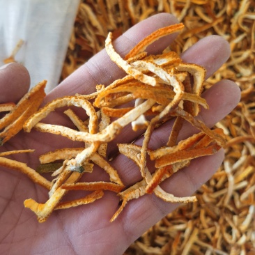 陈皮精品陈皮丝无硫