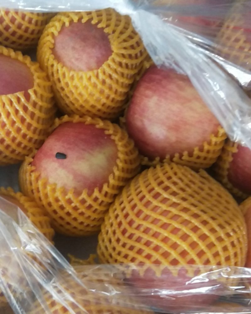 山东红富士苹果