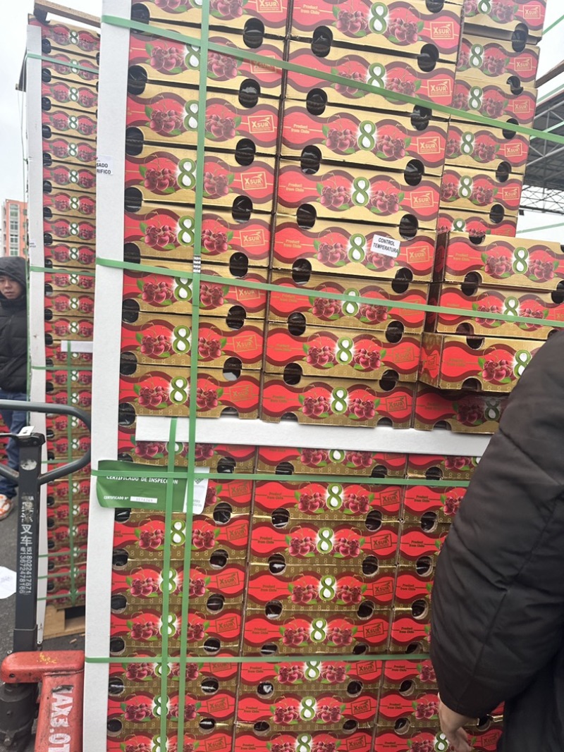 精选樱桃-车厘子高品质车厘子精美包装档口直发欢迎联系