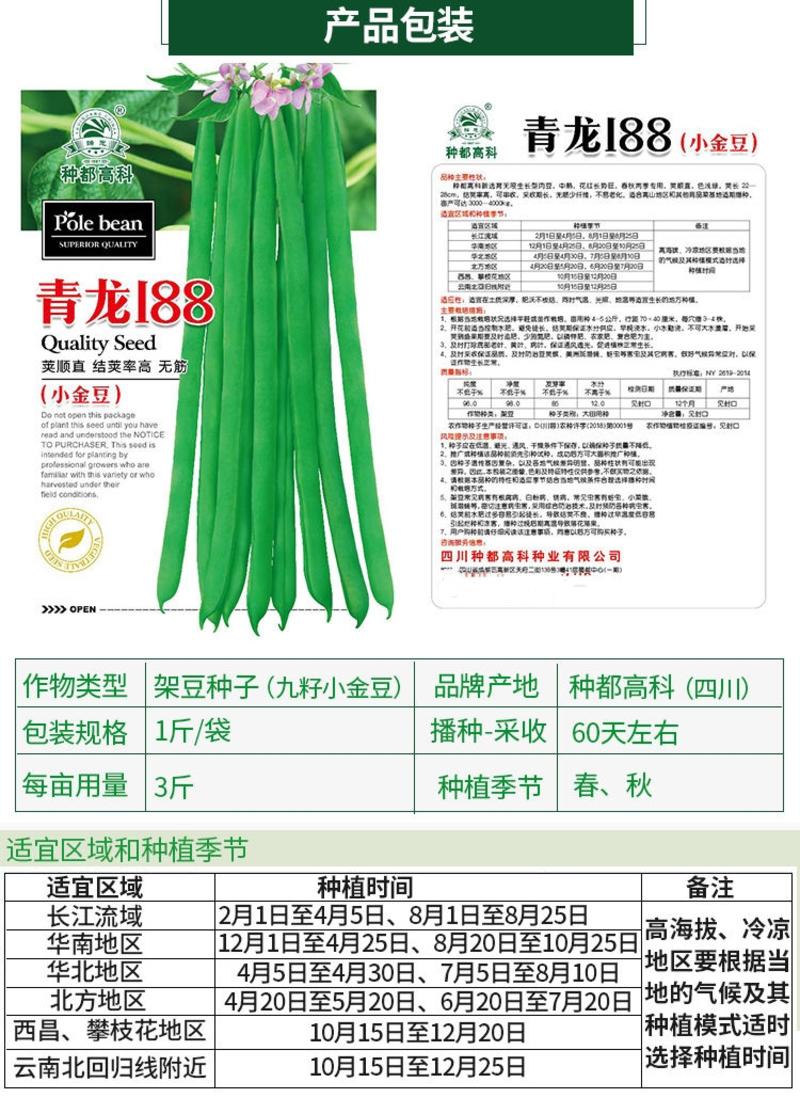 中早熟青龙188四季豆种子小金豆种子蔬菜种子春秋栽培