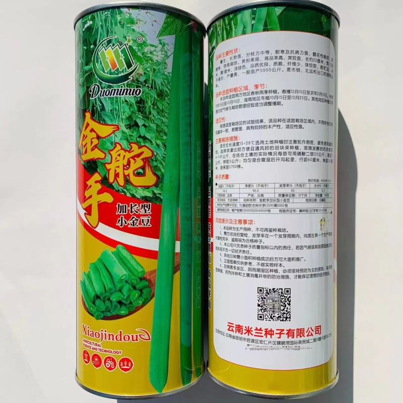 金舵手四季豆种子加长型小金豆种子耐寒及抗病能力强芸豆种子