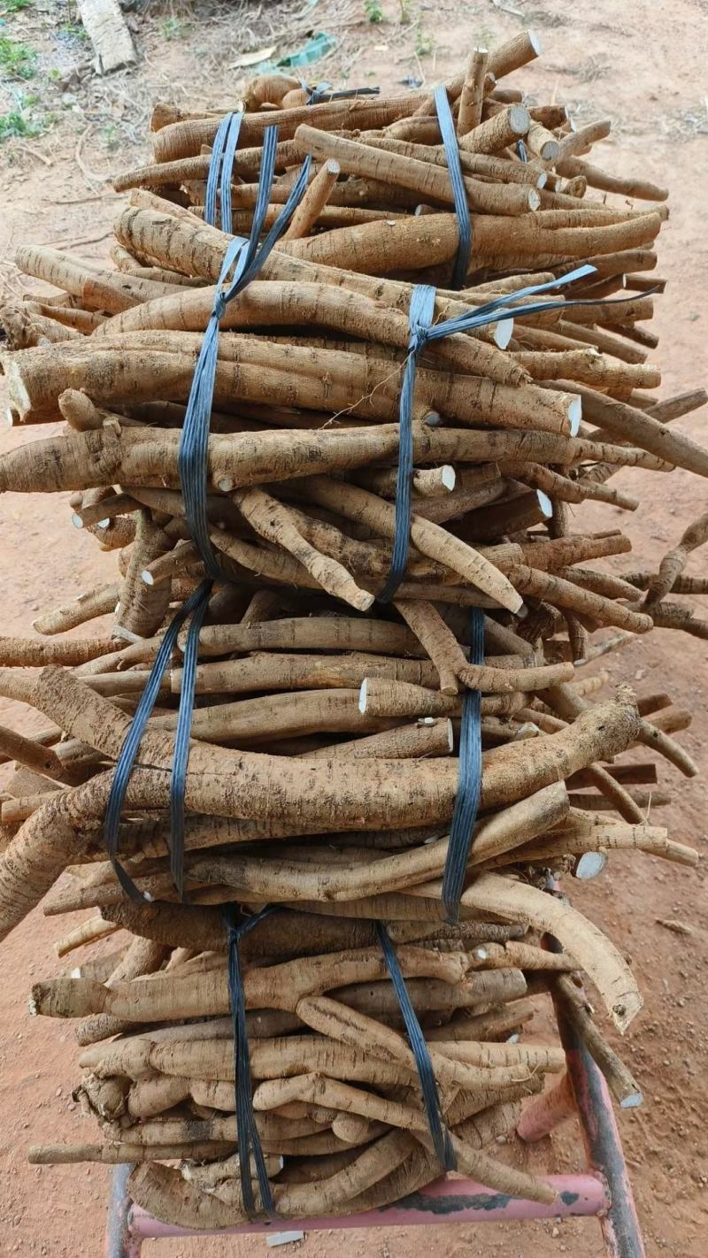 小叶牛大力统货，黄统牛