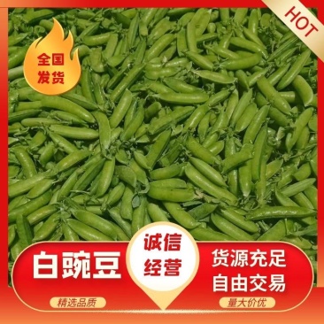精品白豌，中豌，大量上市，量大从优，有需要的老板可以联