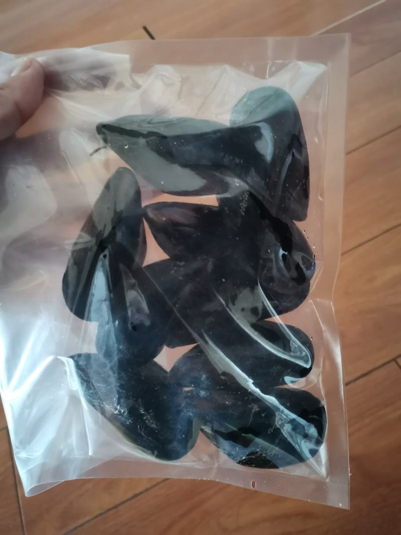 海虹青口贻贝贝类海产品欢迎采购