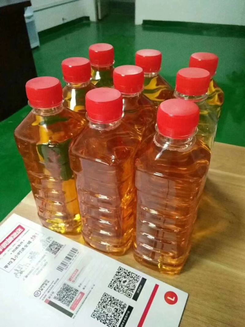 广西精品山茶油基地直发品质保证量大从优欢迎联系