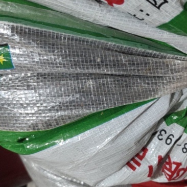 油菜籽