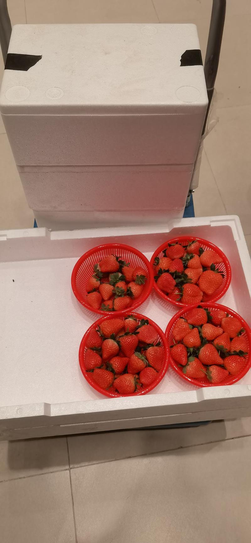 草莓代收
