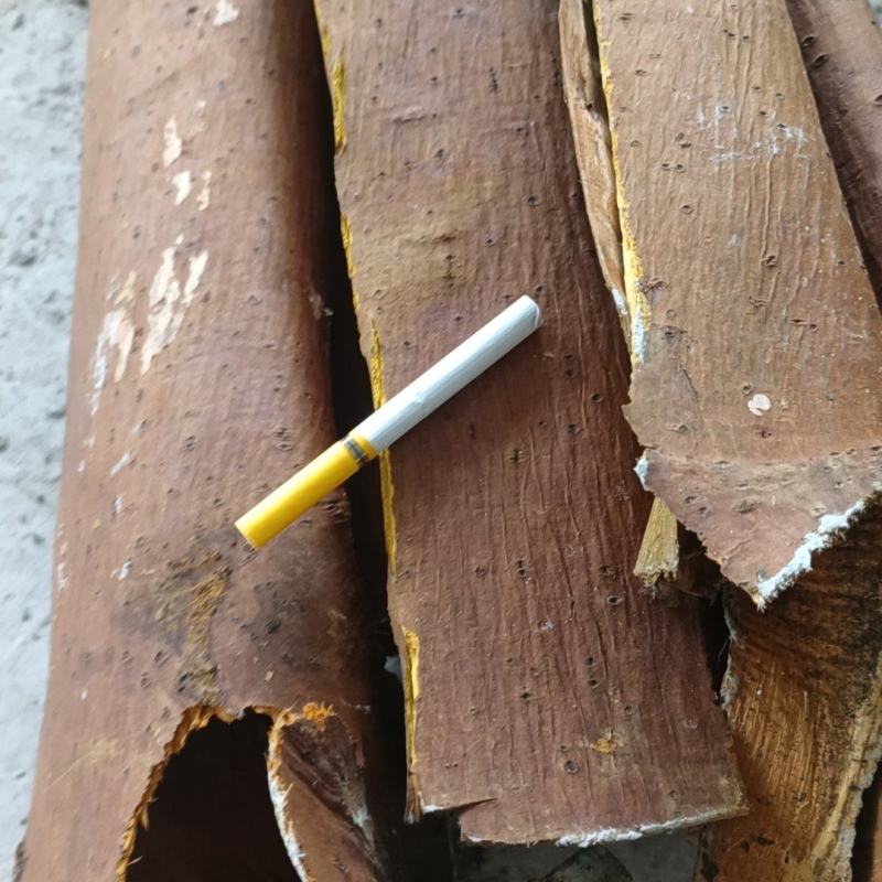 黄柏皮规格齐全品质保障欢迎联系