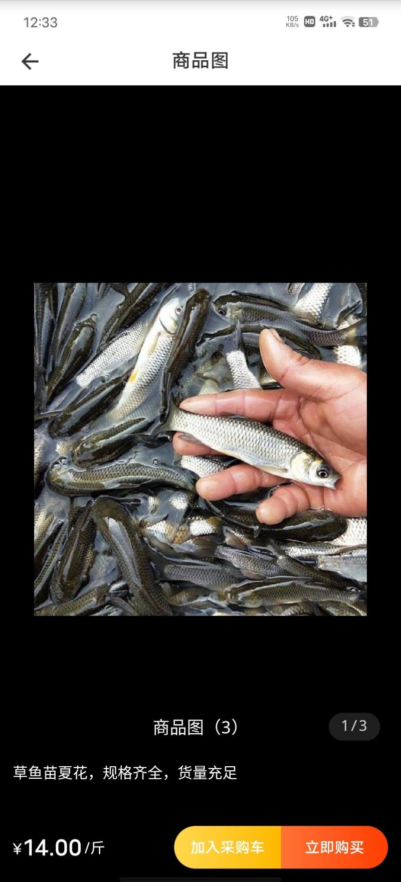 草鱼苗，养殖户直销没中间商，2000斤起卖，货源充足。