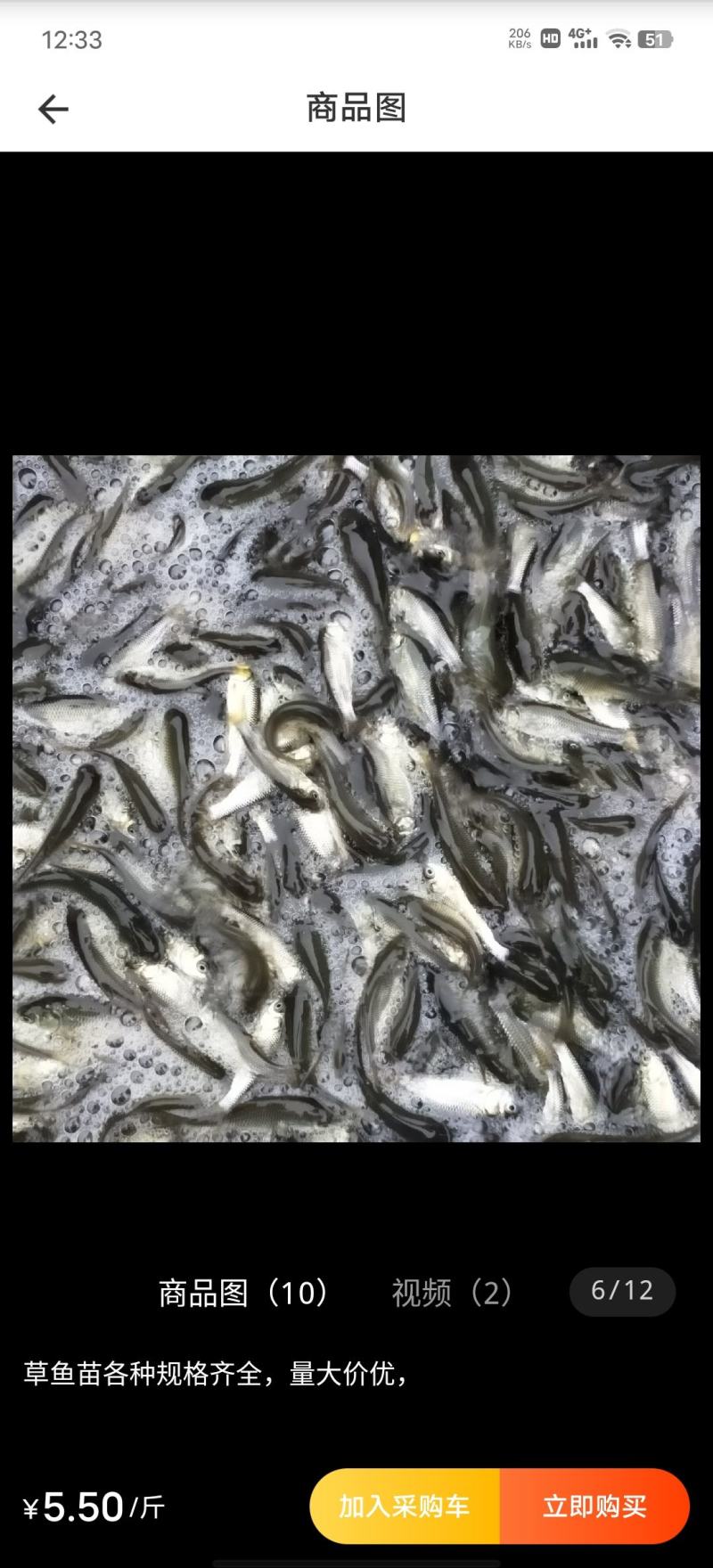 草鱼苗，养殖户直销没中间商，2000斤起卖，货源充足。