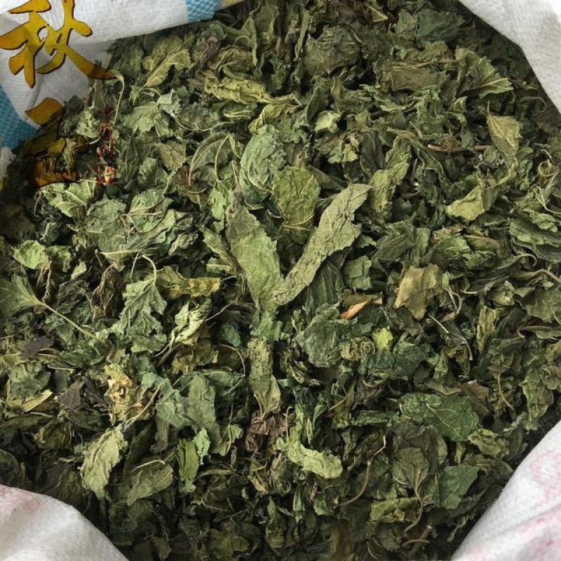 干青桑叶，散装，机压包，可提供样品