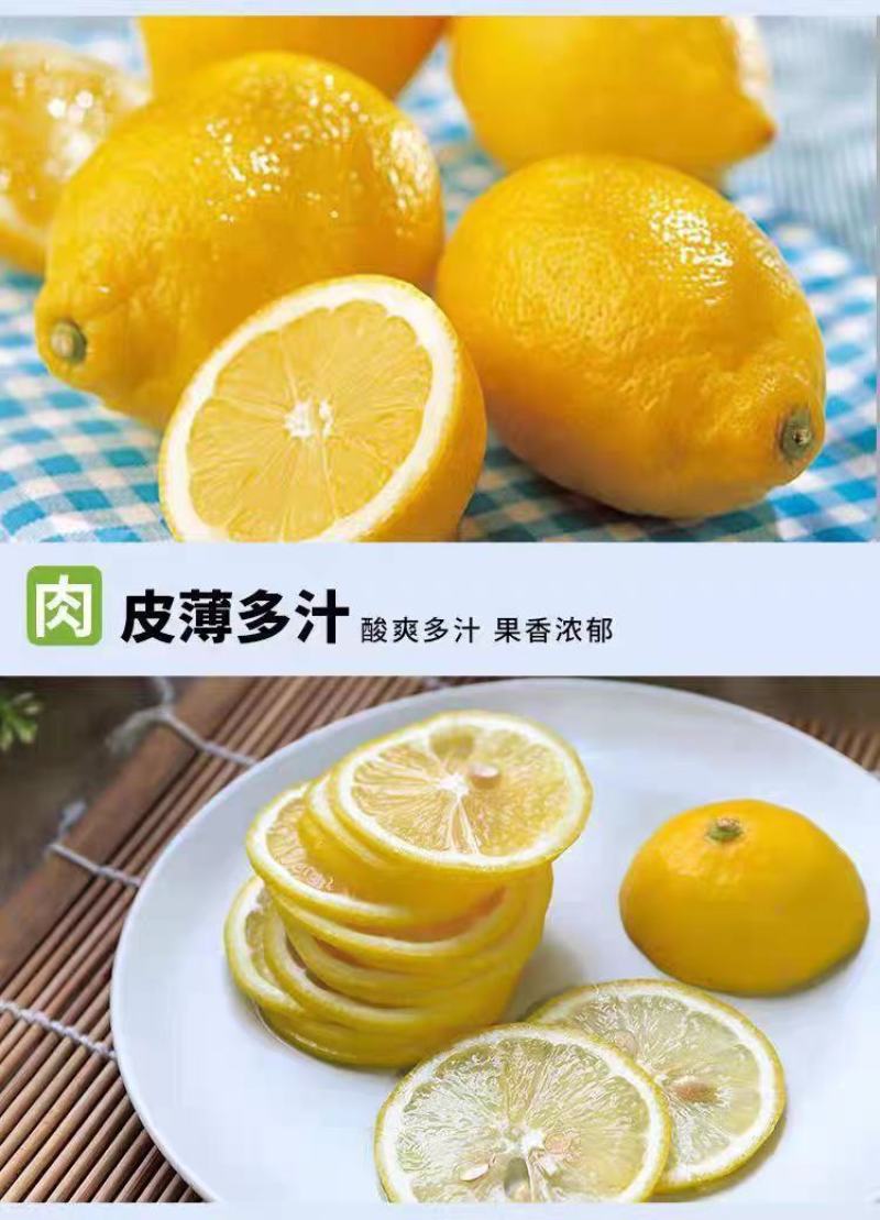 四川安岳新鲜黄柠檬商户电商饮品店批发专用