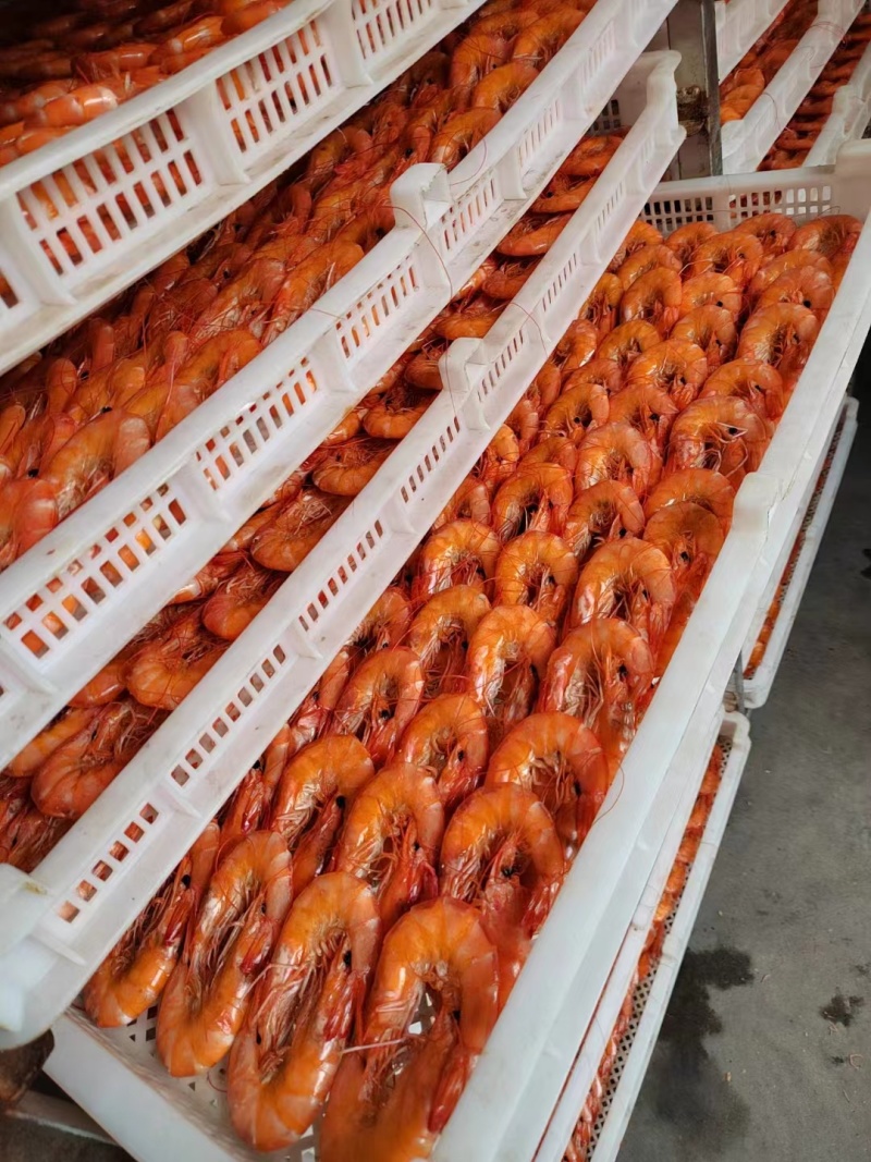 山东精品烤虾大量有货自户加工自做自销，质量保证价格便宜