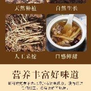 贵州毕节无硫仿野生人工种植黄党参批发
