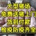 山东【三元仔猪】防疫到位产地看货免费送猪猪场直发