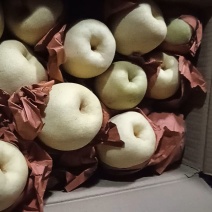 酥梨