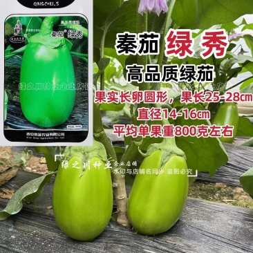 高品质绿茄种子秦茄绿秀青茄子种籽紫花绿罐茄种子绿色油亮