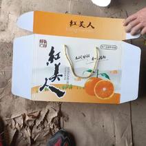 爱媛28果冻橙，爱媛橙，产地发货，质量保证，对接大型批发