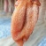 陕西柿饼