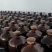 古法纯粮白酒