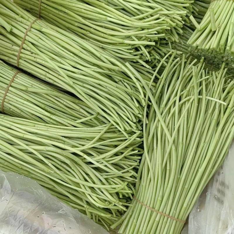 芦蒿，对接各大市场，商超酒店。