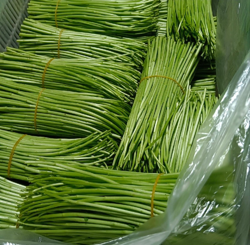 芦蒿，对接各大市场，商超酒店。