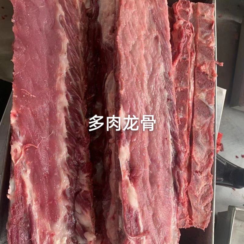 国产多肉龙骨4块左右一斤