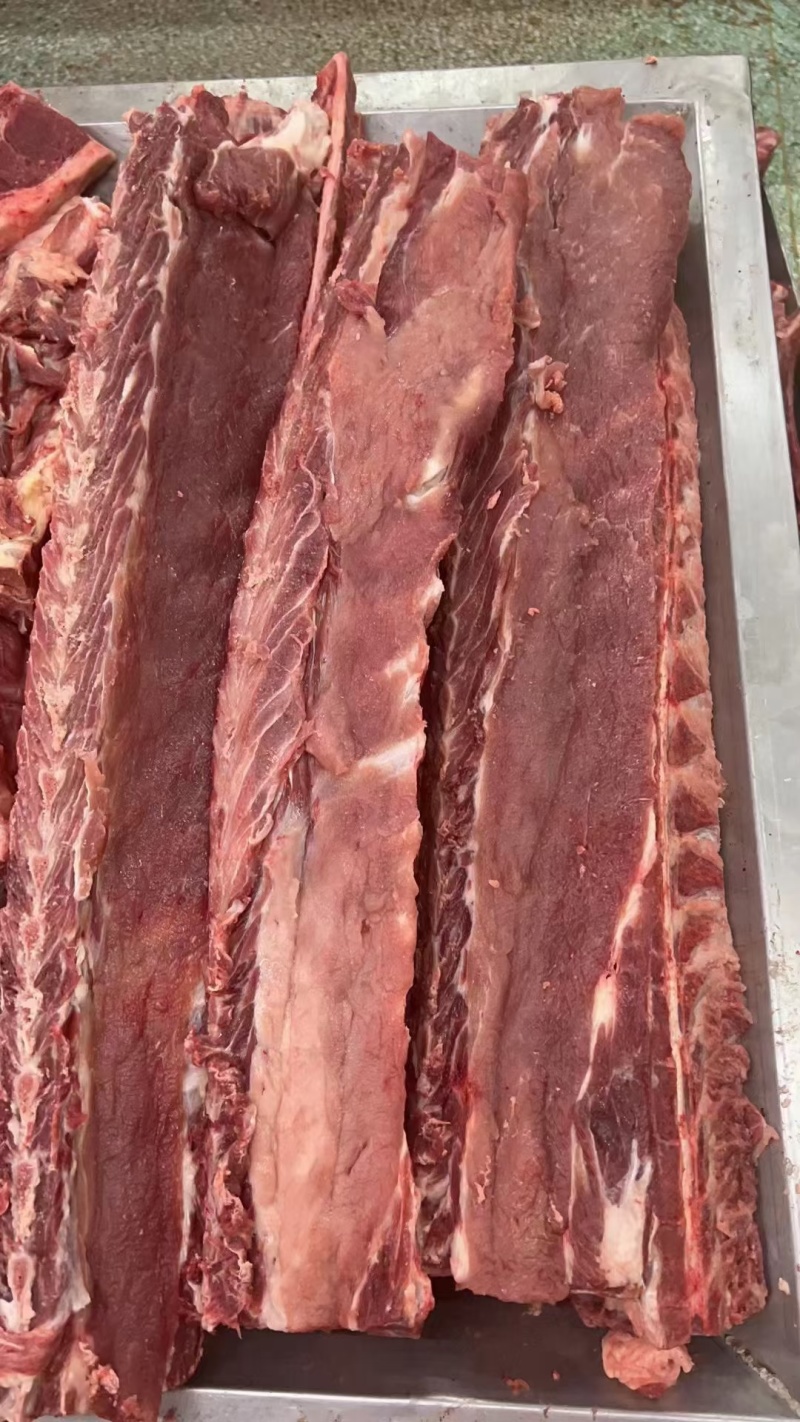 国产多肉龙骨4块左右一斤