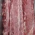 国产多肉龙骨4块左右一斤