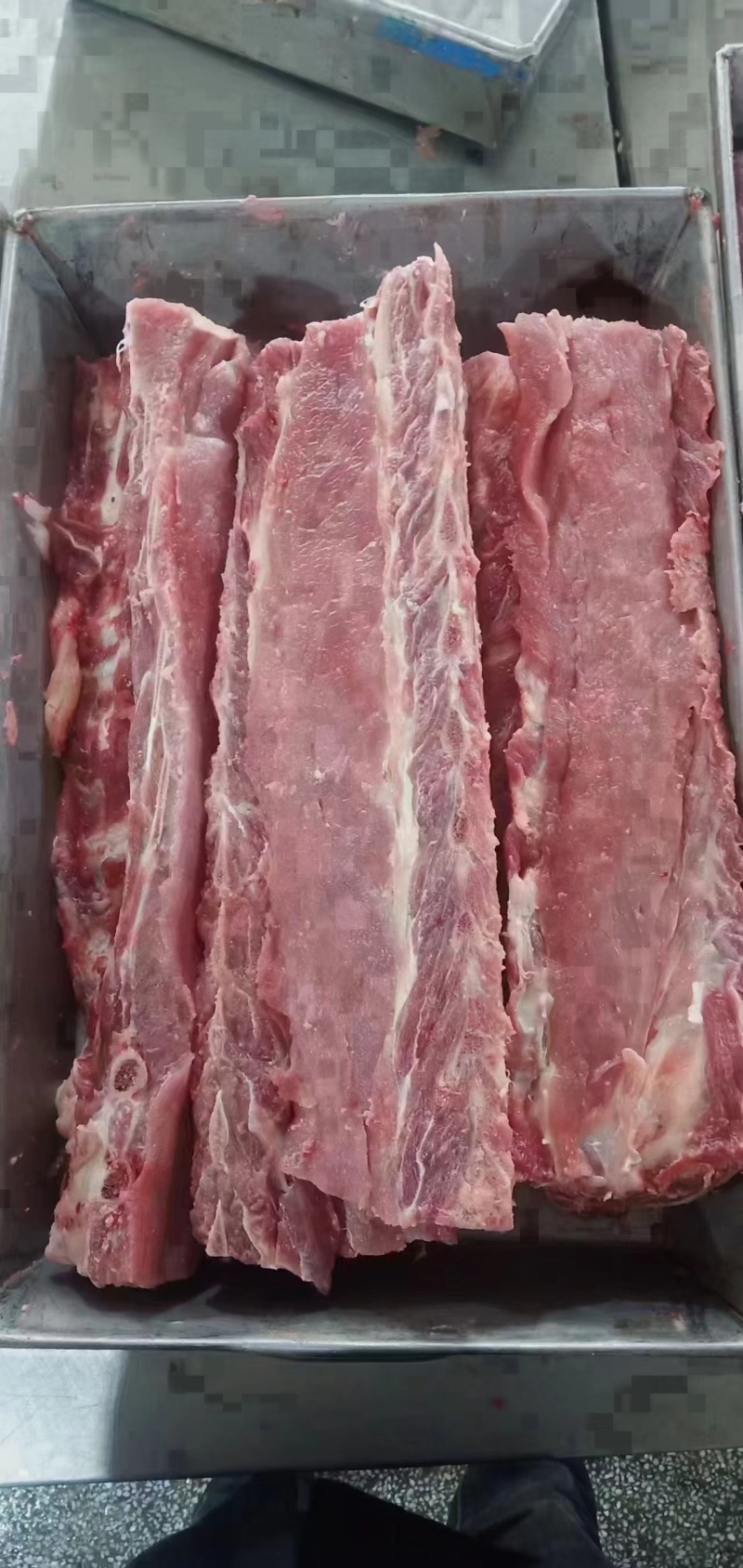 国产多肉龙骨4块左右一斤