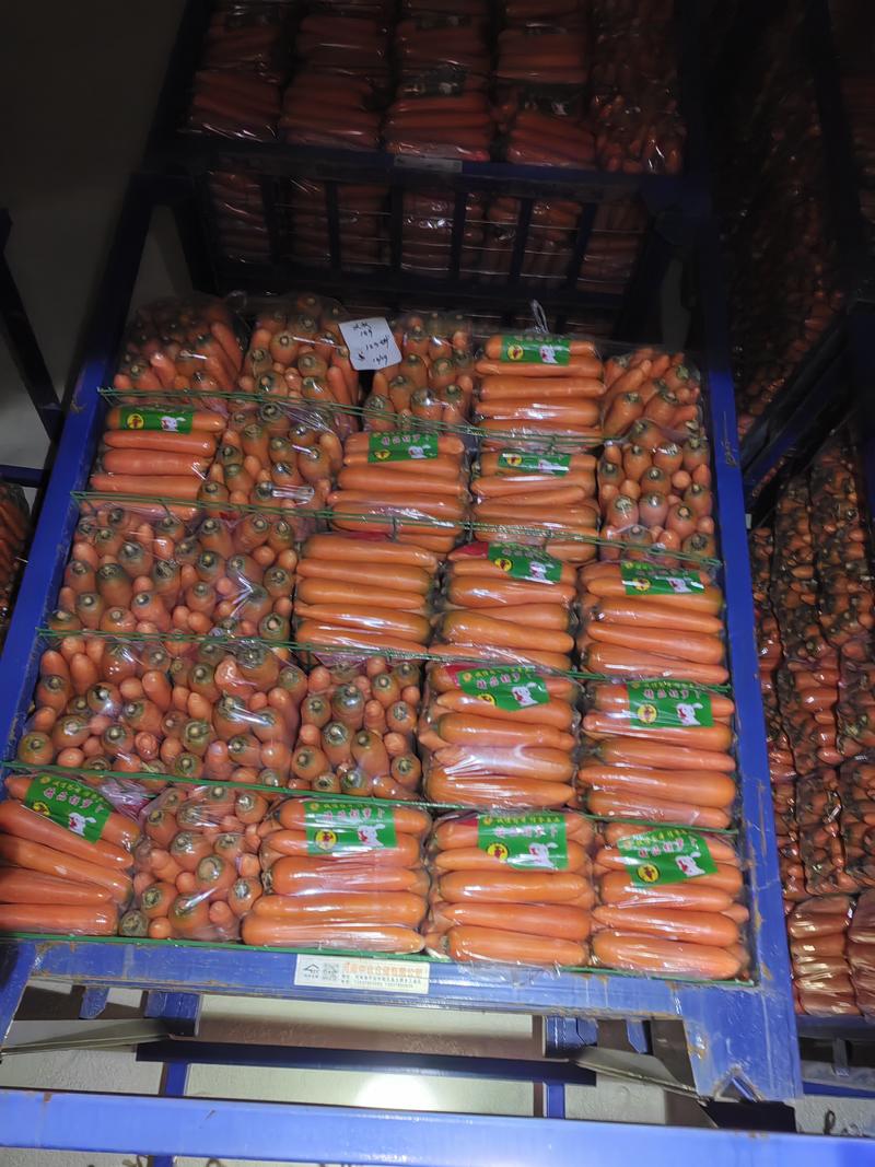 《精》三红胡萝卜中条小条大头各种规格产地直发货源充足质保