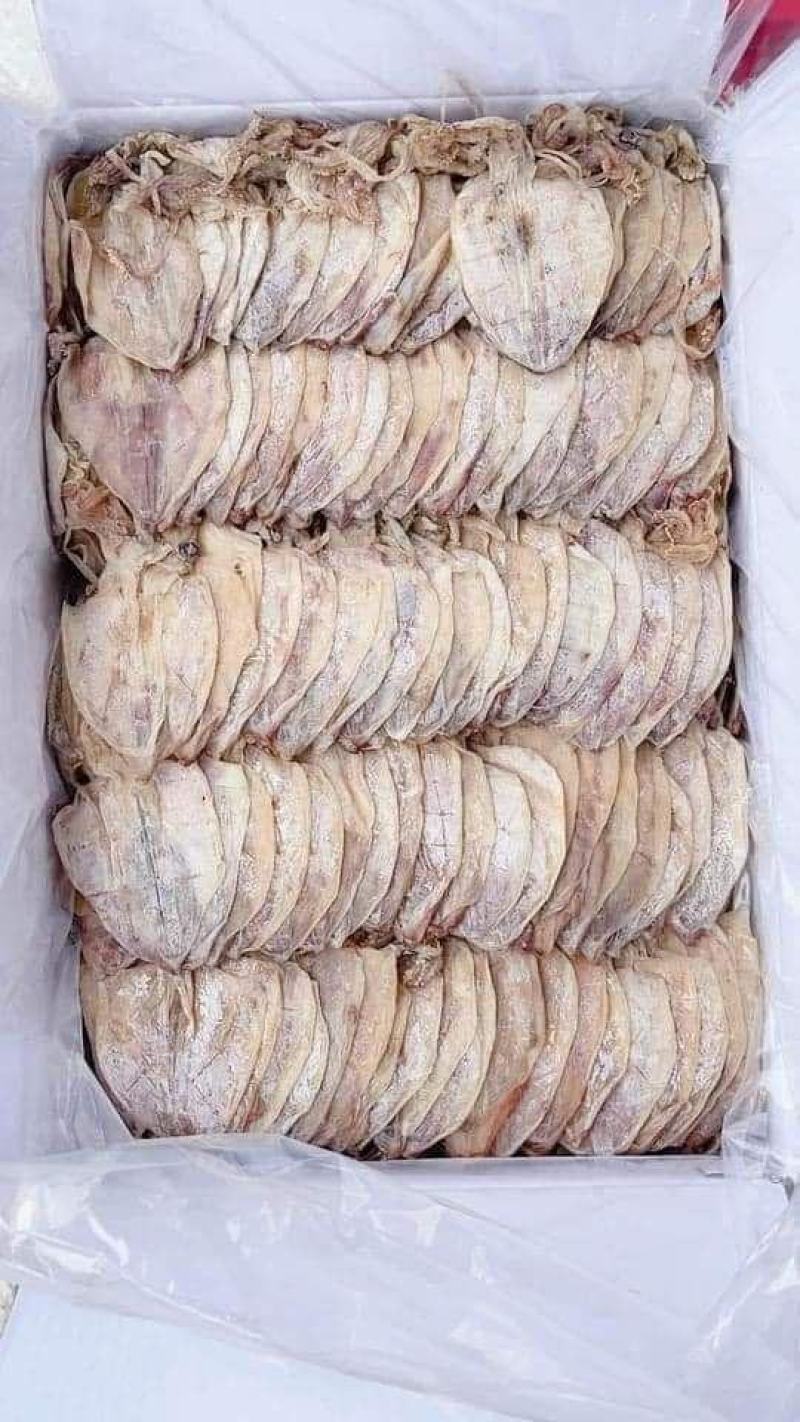越南鱿鱼干