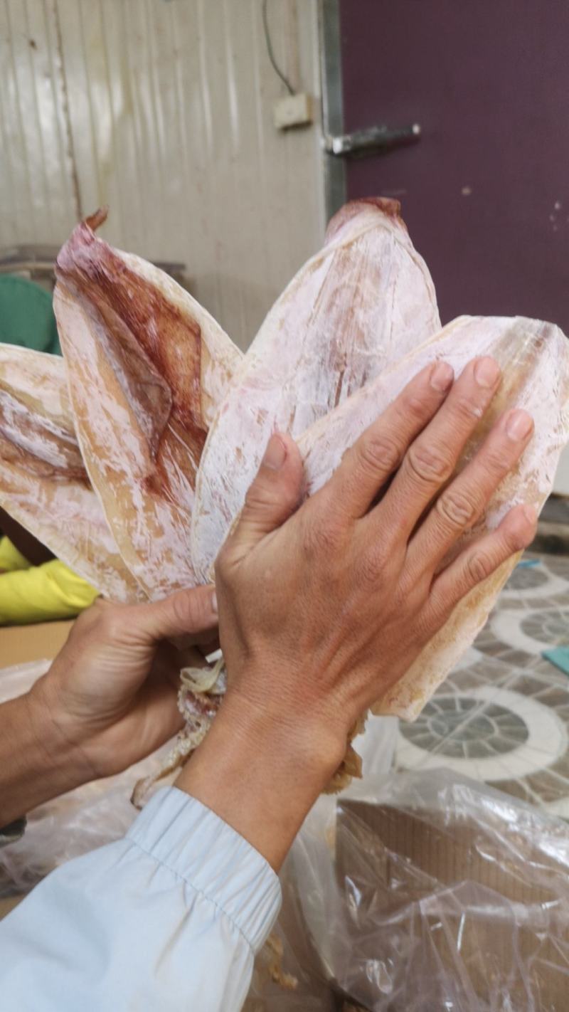 越南鱿鱼干