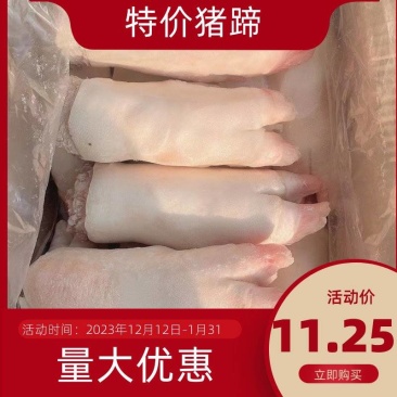 沈阳精品母猪蹄，前后混猪蹄，仓库直发，批发，保质保量价低