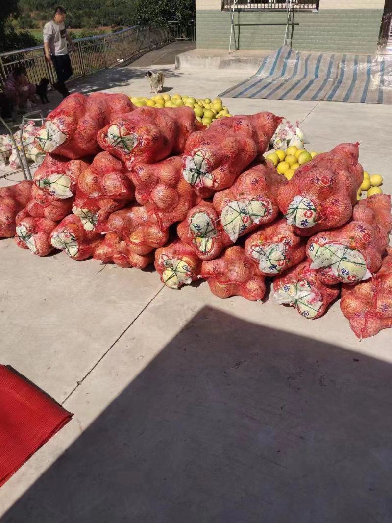 红心柚，水分充足，产地一手货源，新鲜保质欢迎来