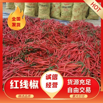 红线椒广东辣椒，精品辣椒大量货源上市，价格优惠