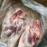 羊腿肉