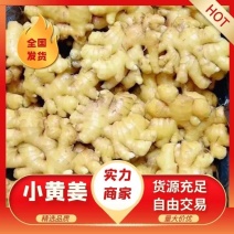 坏烂包赔精品小黄姜保质保量产地批发长年供应价格实惠
