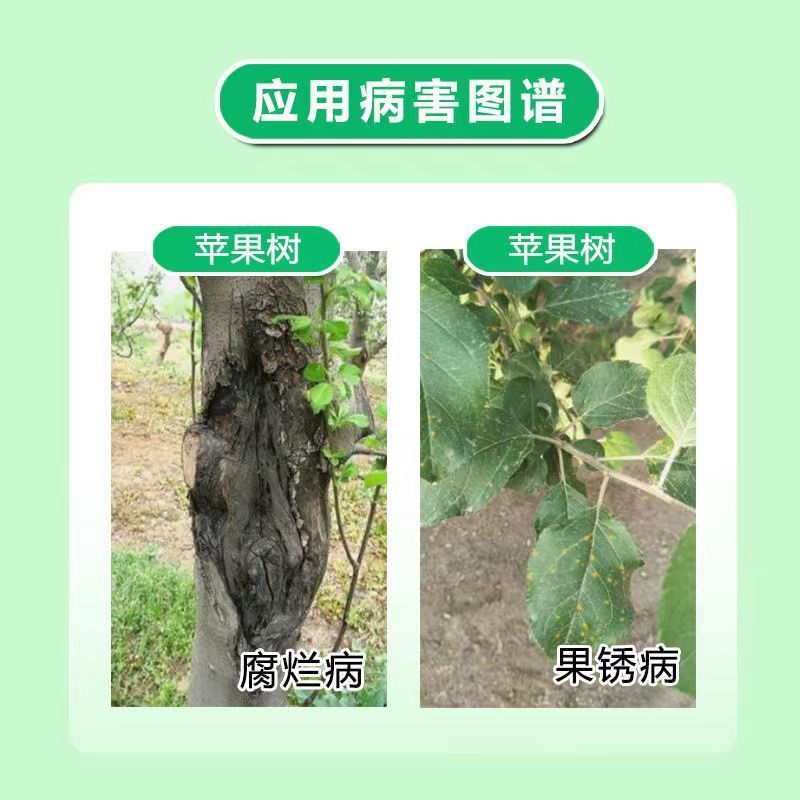 国光全蚀辛菌胺醋酸盐辛菌胺杀菌剂果锈病苹果树腐烂病农药