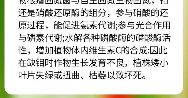 硼肥促花芽分化保花保果膨果坐果硼钼锌肥叶面肥水溶肥微量元