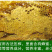 土蜂蜜