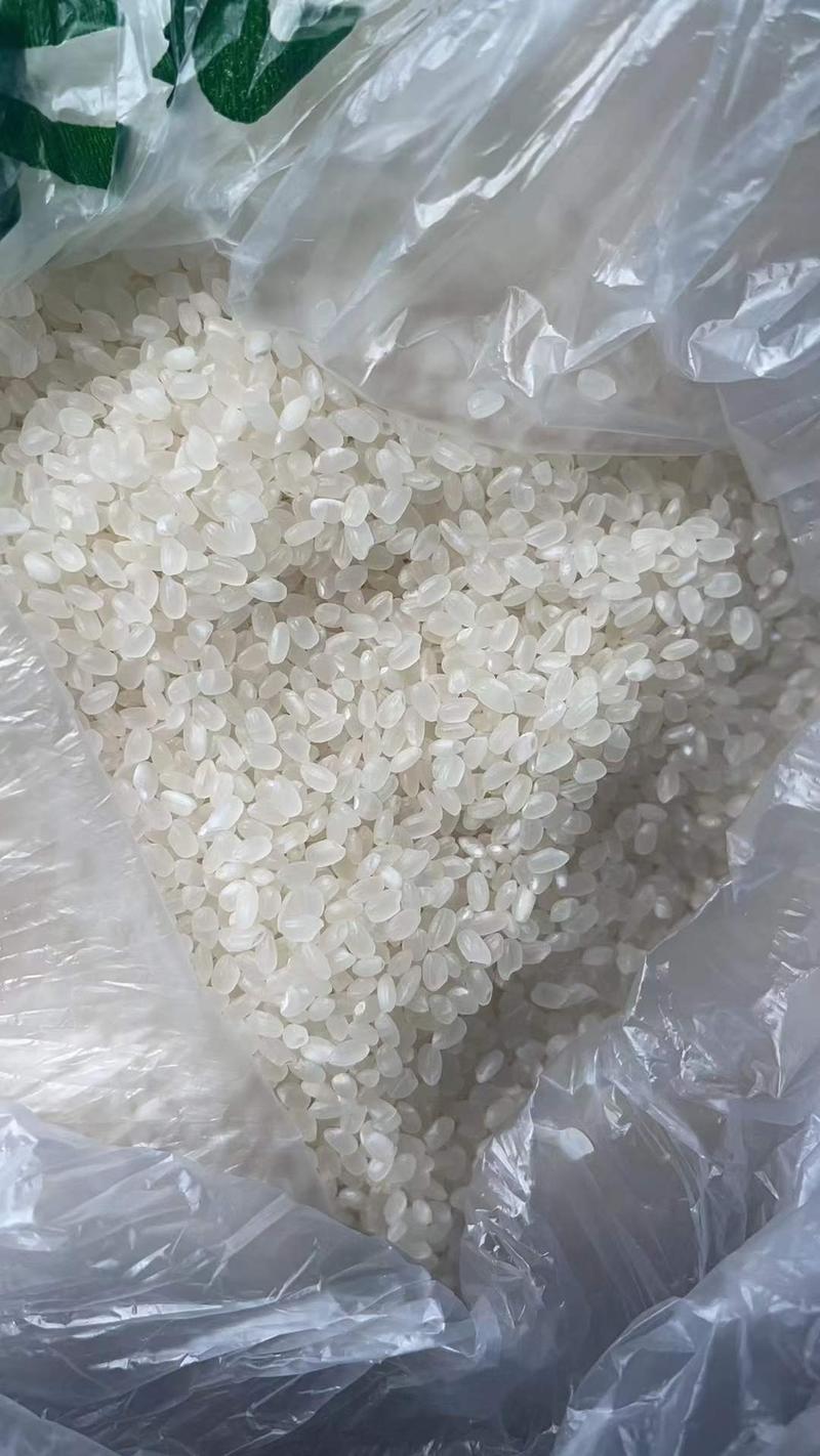 厂家供应珍珠米，一级珍珠米，口感好，干净