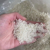 一级珍珠米，量大，厂家直销，珍珠米