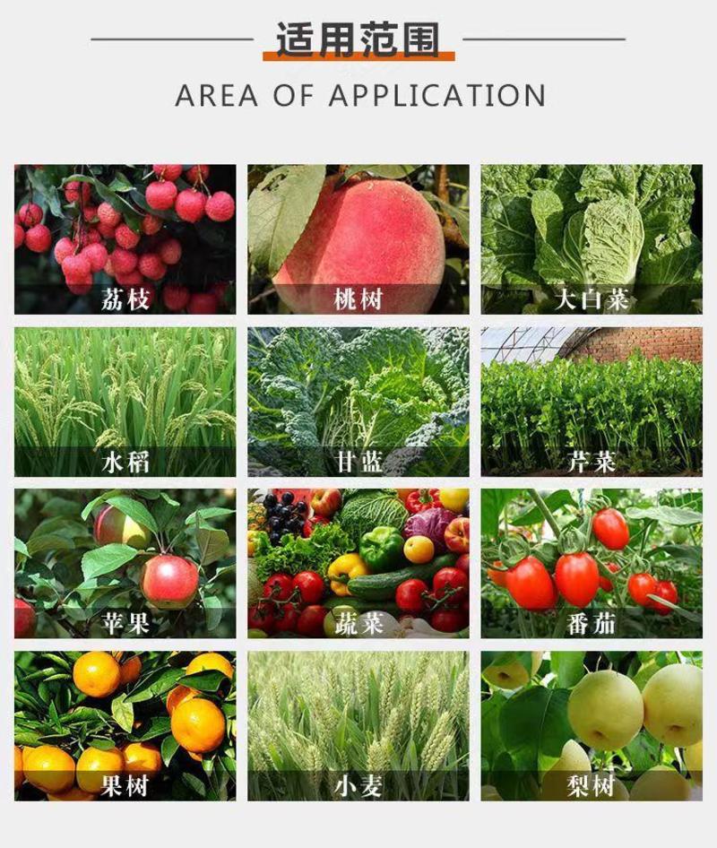 24表芸赤霉酸调节生长促花促果解药害果树蔬菜农用正品农药
